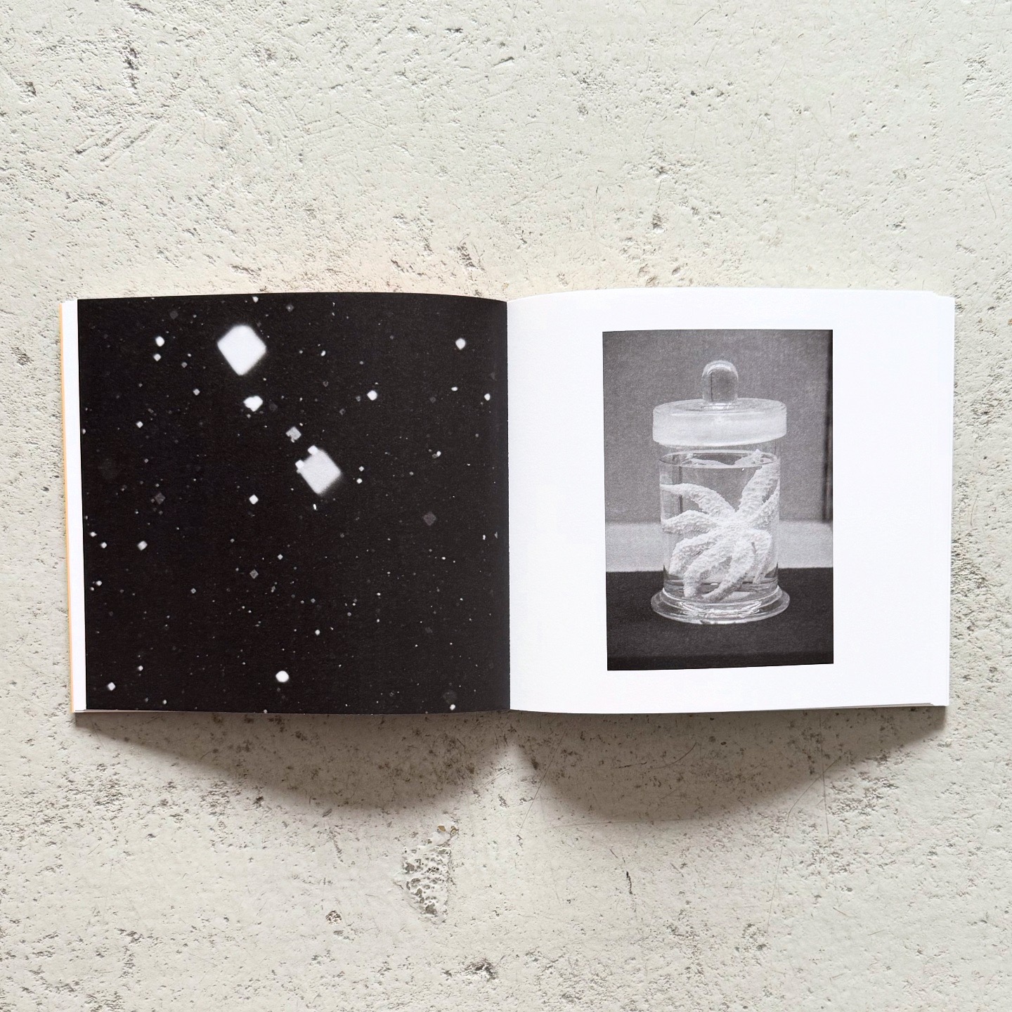 加瀬健太郎 / Kentaro Kase: ABC