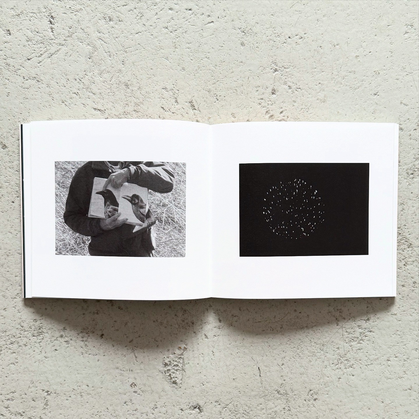 加瀬健太郎 / Kentaro Kase: ABC