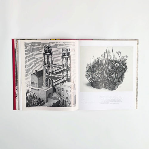 The Magic of M. C. Escher