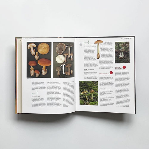 The Complete Mushroom Book: The Quiet Hunt