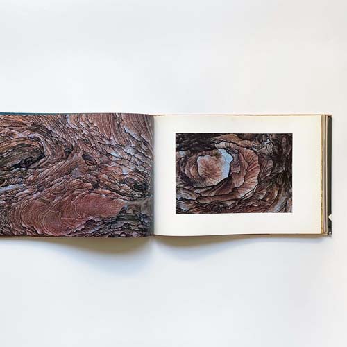 Ernst Haas: The Creation