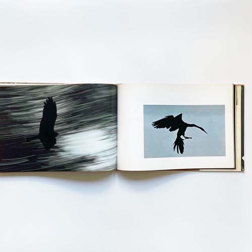 Ernst Haas: The Creation