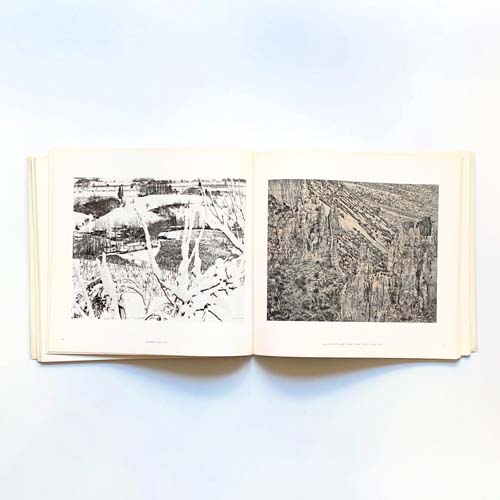 Emmet Gowin Photographs