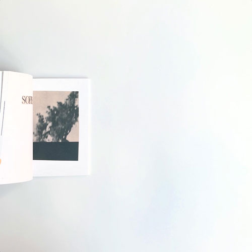 Katrien De Blauwer: Cheveux longs... cheveux courts