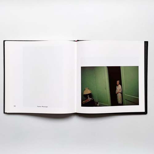 William Eggleston's Guide