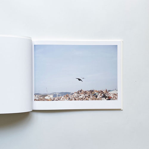 川内倫子　光と影 / Rinko Kawauchi: Light and Shadow [Signed]