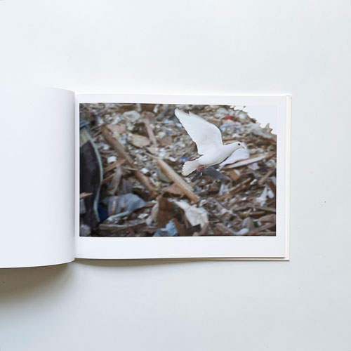 川内倫子　光と影 / Rinko Kawauchi: Light and Shadow [Signed]