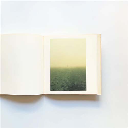 野口里佳　鳥を見る