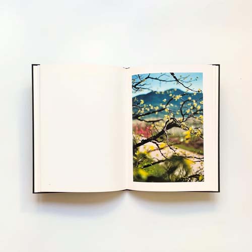 Terri Weifenbach: LANA [First edition]