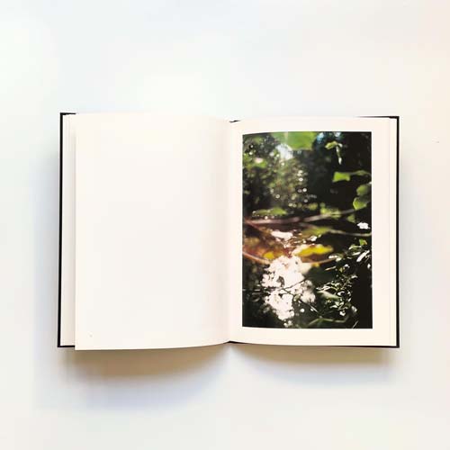 Terri Weifenbach: LANA [First edition]