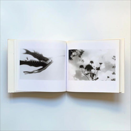 沢渡朔・眞行寺君枝　シビラの四季