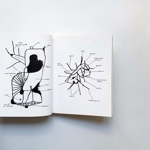 David Shrigley: Everything Must Have a Name