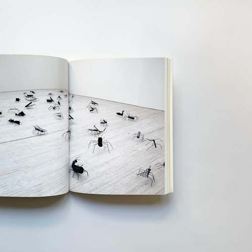 David Shrigley: Everything Must Have a Name