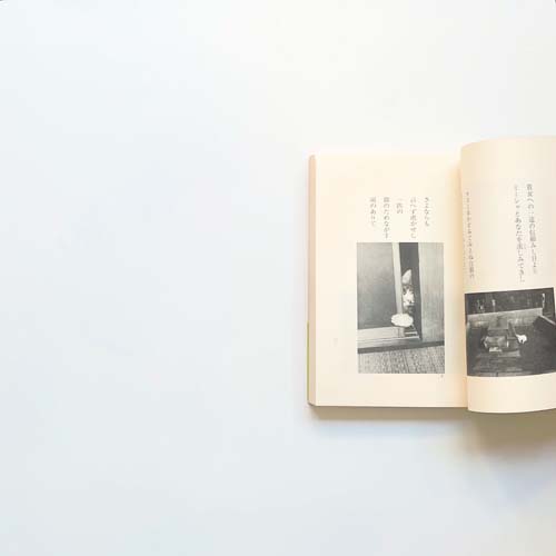 梅津ふみ子　風の猫