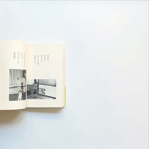 梅津ふみ子　風の猫