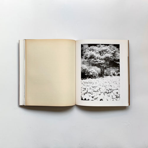 宮澤正明赤外写真集 1979-1999-2