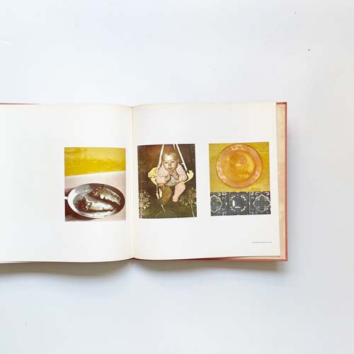 Bea Nettles: Flamingo in the Dark