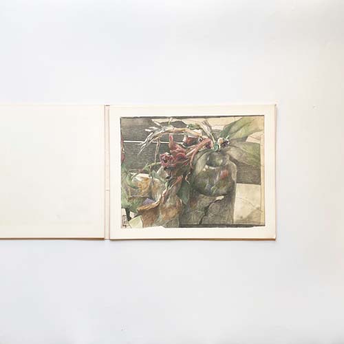 13 Drawings by Horst Janssen