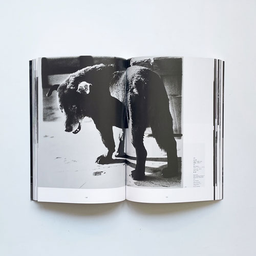 光の狩人―森山大道1965-2003 [Signed]