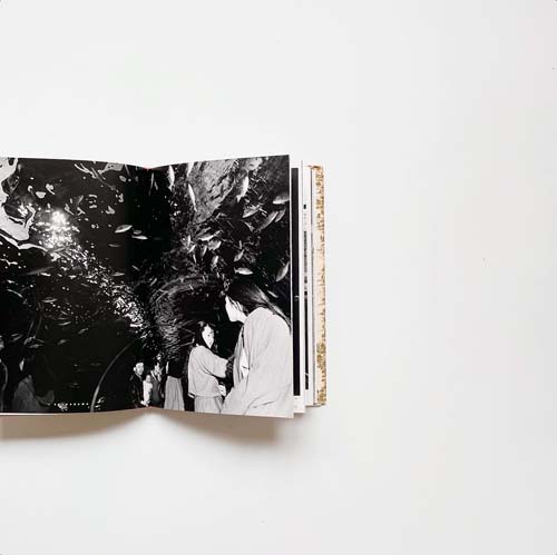 児玉房子写真集　千年後には・東京