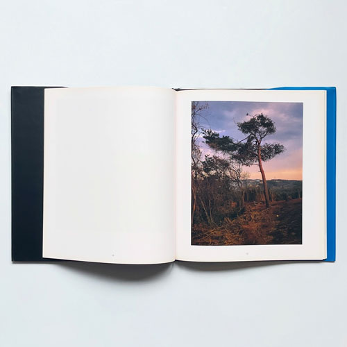 小林のりお　ファースト・ライト