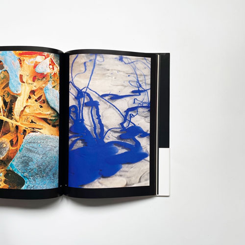 原田雅嗣　アイスペインティング