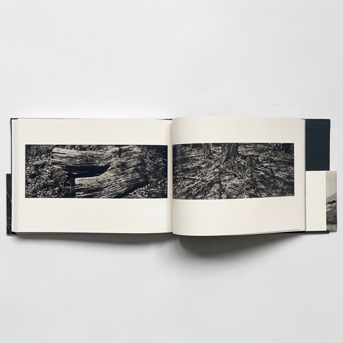 猪瀬光全作品 / INOSE Kou Complete Works [Signed]