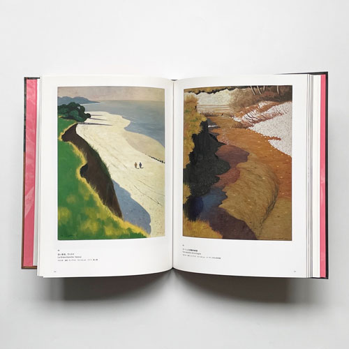 ヴァロットン　冷たい炎の画家