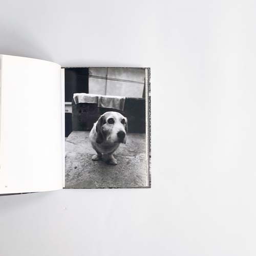 Elliot Erwitt’s Dogs