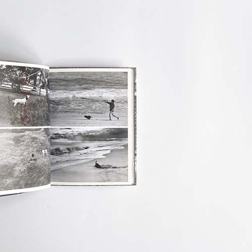 Elliot Erwitt’s Dogs