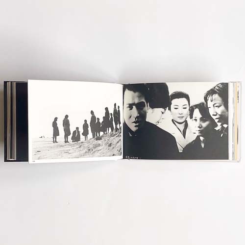 いま見ているのが夢なら止めろ、止めて写真に撮れ。