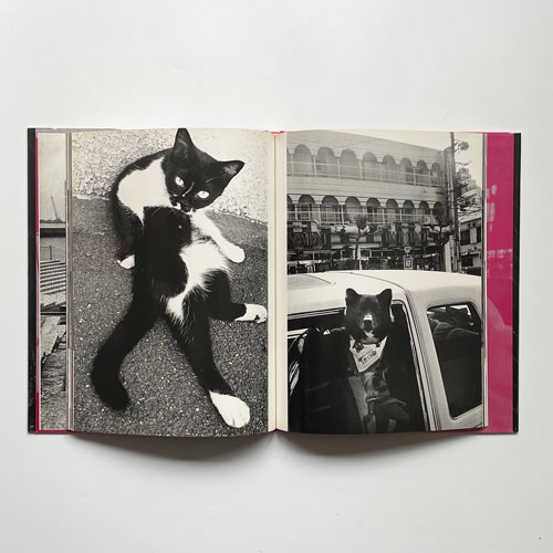 楢橋朝子　NU・E