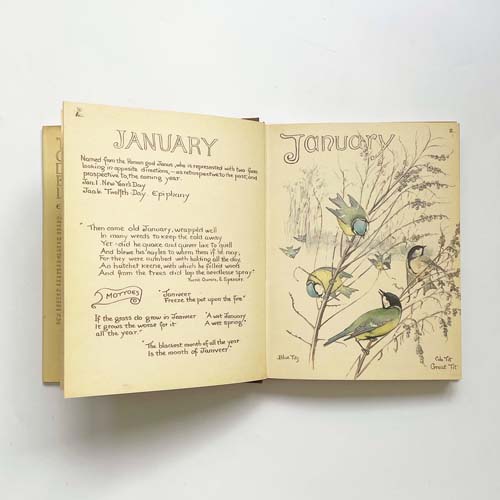 THE COUNTRY DIARY OF AN EDWARDIAN LADY