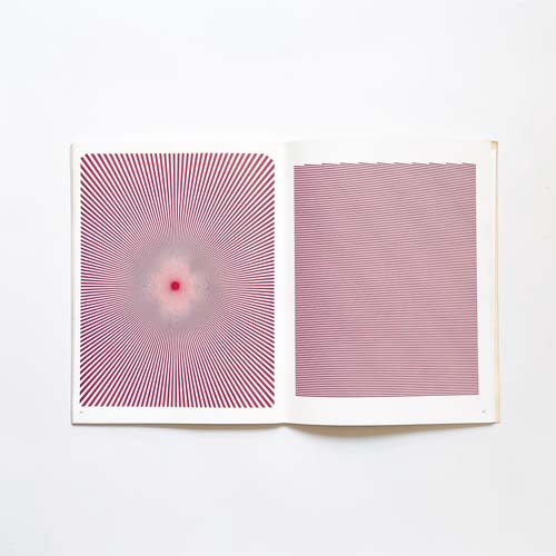 Visual Illusions in Motion with Moire Screens