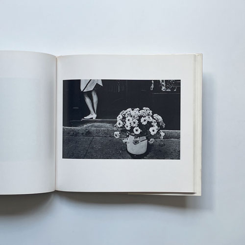 稲越功一 / Koichi Inakoshi: Maybe, maybe [Inscribed ＆ Signed]