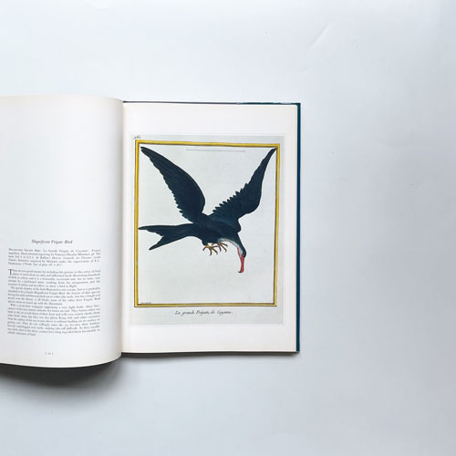 Birds: Classic Natural History Prints