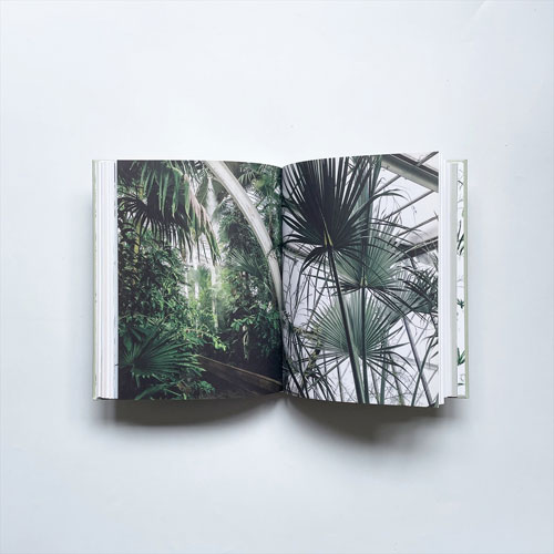 House of Plants: Living with Succulents, Air Plants and Cacti