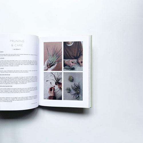 House of Plants: Living with Succulents, Air Plants and Cacti