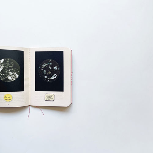 Mandy Barker: Beyond Drifting - Digest Edition [Signed]