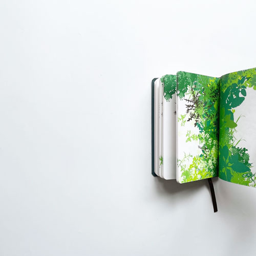 Kim Beck: A Field Guide to Weeds