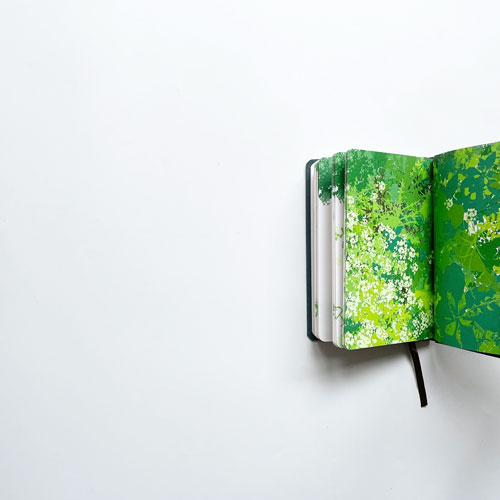 Kim Beck: A Field Guide to Weeds