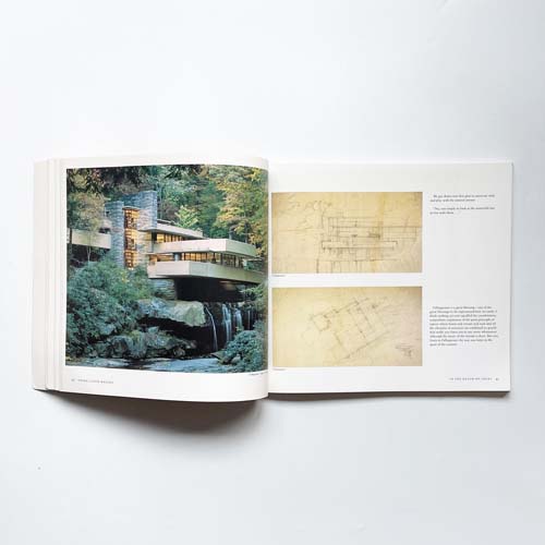 Frank Lloyd Wright: In the Realm of Ideas