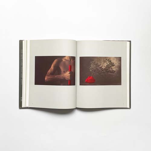 Christian Vogt: Photographs - The Master Collection Book 1