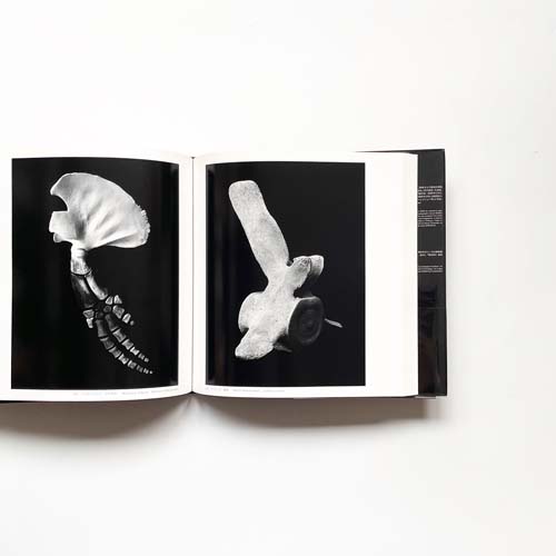 湯沢英治　REAL BONES　骨格と機能美