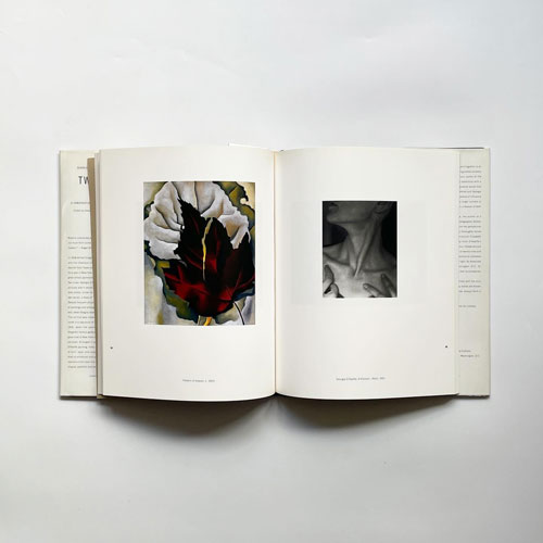 Georgia O'Keeffe & Alfred Stieglitz: Two Lives