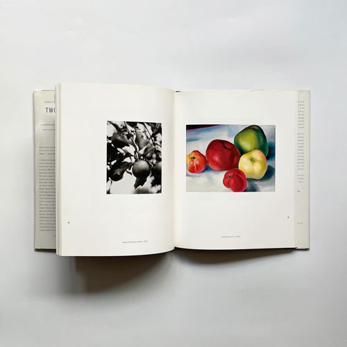 Georgia O'Keeffe & Alfred Stieglitz: Two Lives