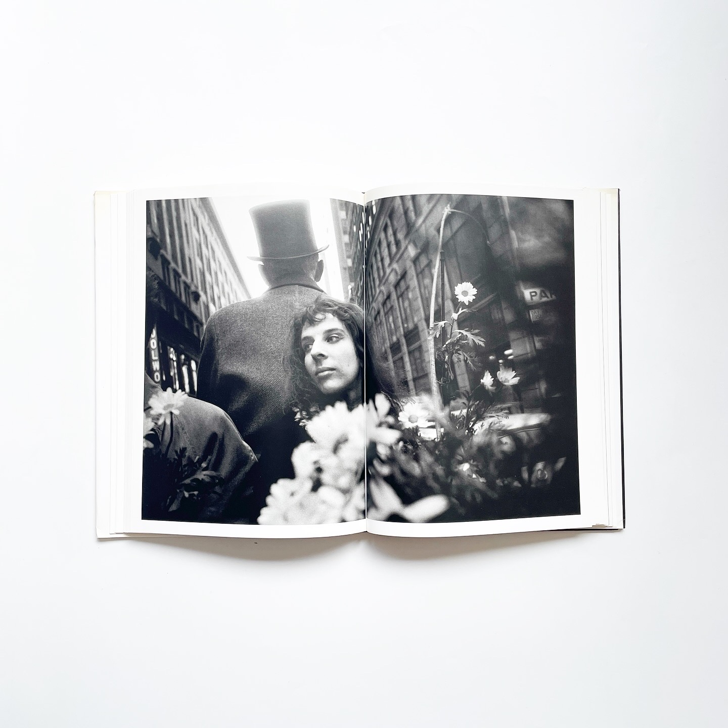 There is No Eye: John Cohen Photographs