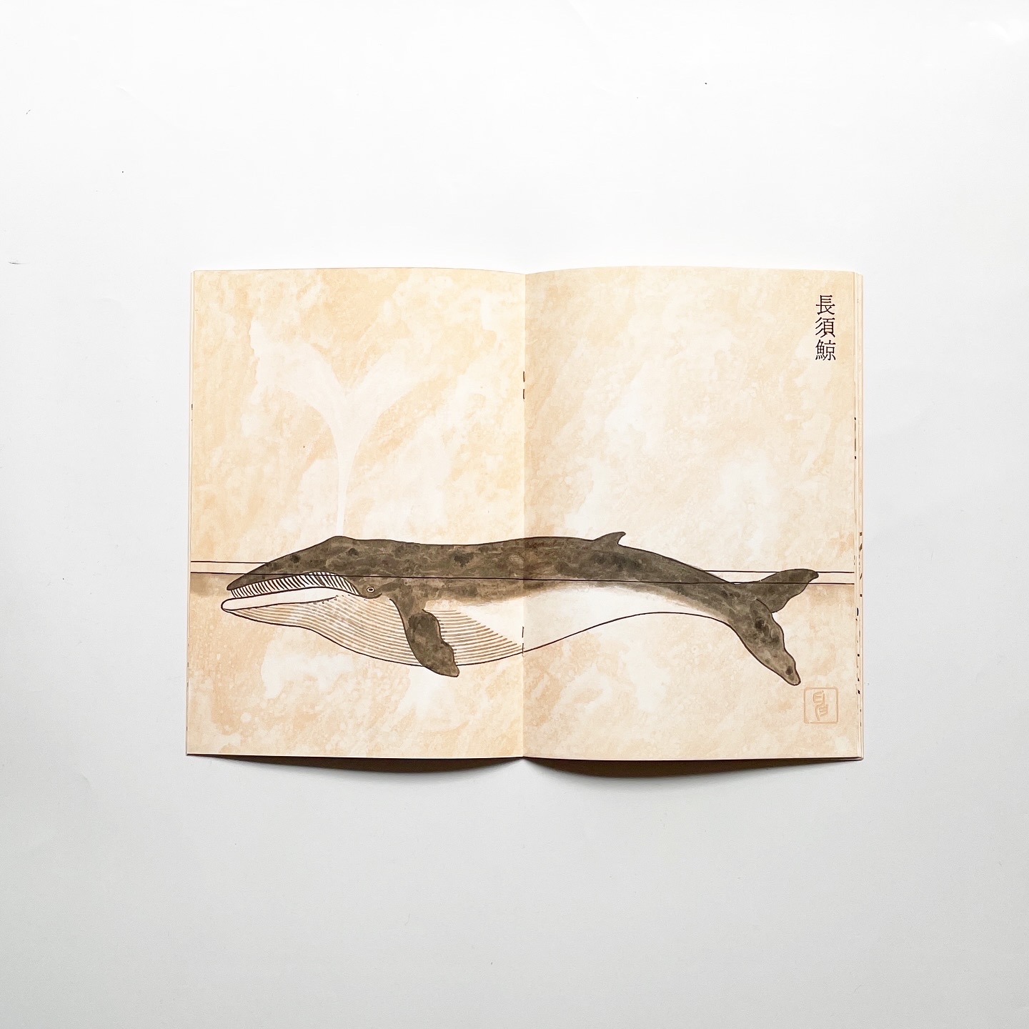 矢吹申彦：鳥獣魚画 / Birds, Bearsts and Fishes