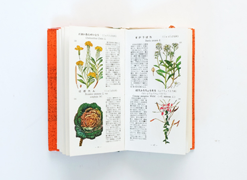 で 売れる - 牧野富太郎著 学生版原色植物図鑑(続野外植物編) - 通販