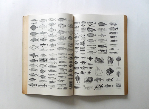 International Encyclopedia of Illustration